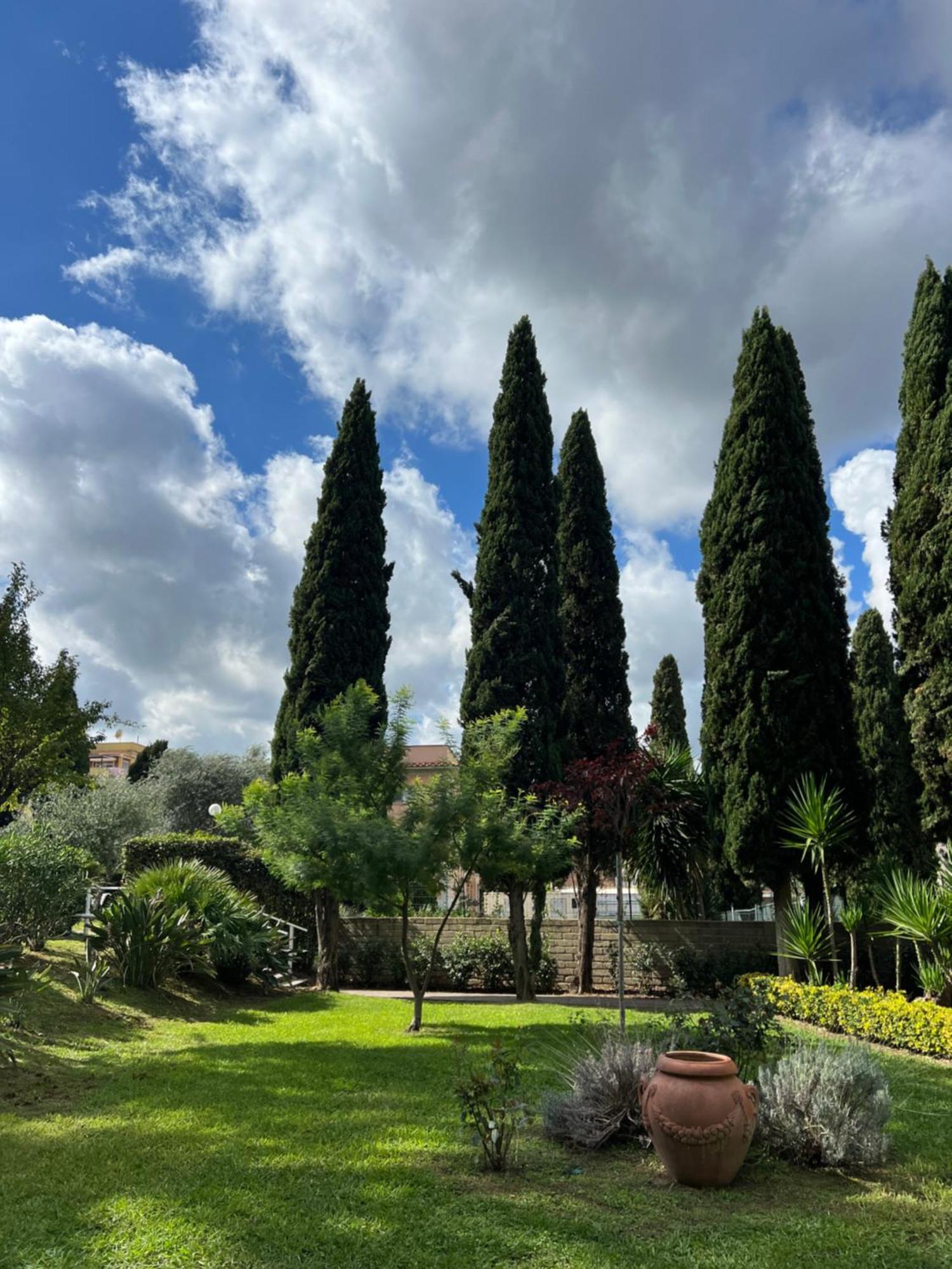 Elix Aurelia * Roma